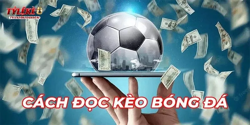 Cách đọc kèo 0.5 1 chi tiết nhất cho newbie