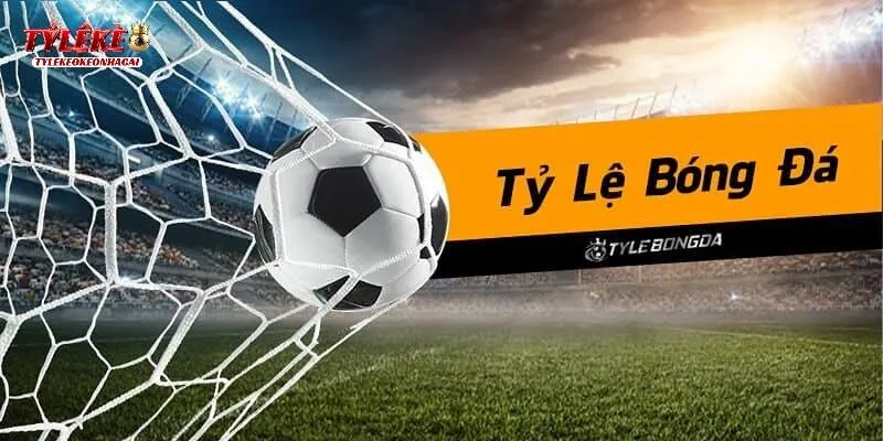 Kèo 0.5 1 Là Gì? Hướng Dẫn Cách Đọc Và Đặt Tiền Hiệu Quả