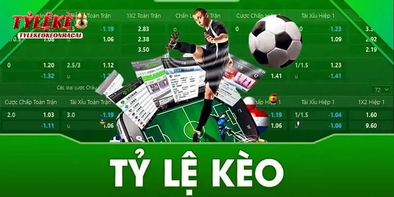 Cách đánh kèo 2.5 3 cơ bản nhất