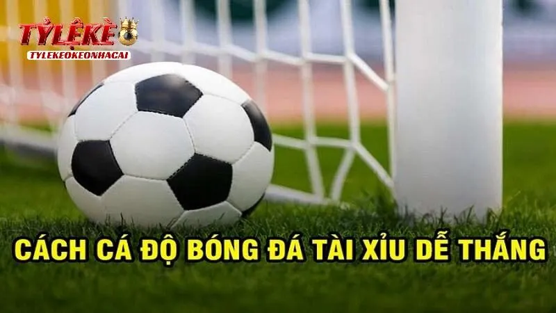 Kinh nghiệm để đời khi chơi cá độ kèo tài xỉu 1 ¼ dễ thắng