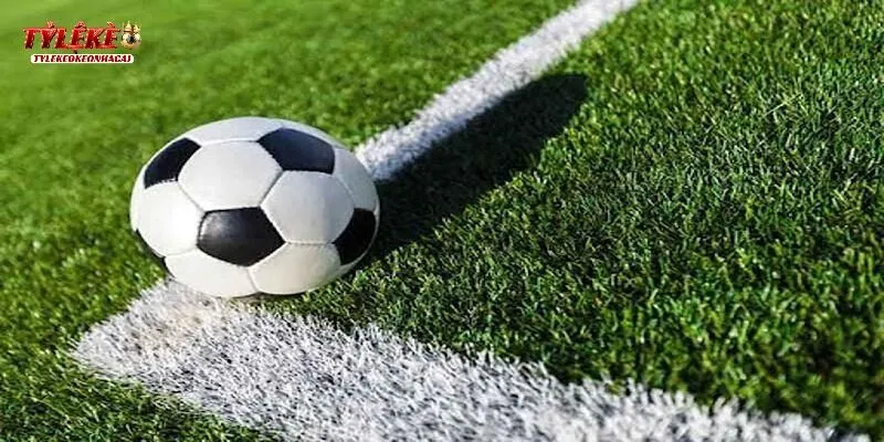 Kèo Tài Xỉu 2-2.5 Là Gì? Tips Chốt Kèo Bất Khả Chiến Bại