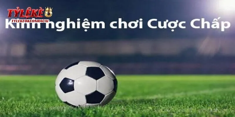Kinh nghiệm chắc thắng khi chơi kèo 1 1/4