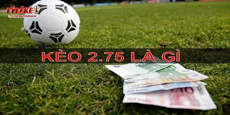 Tổng hợp kinh nghiệm bắt kèo 2.5/3 dễ ăn thưởng