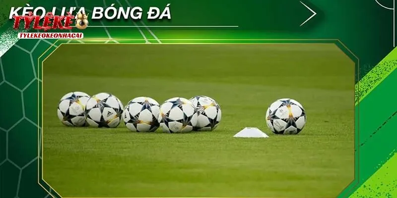 Kèo Lựa Và Những Kinh Nghiệm Giúp Bet Thủ Thắng Cược Nhanh 