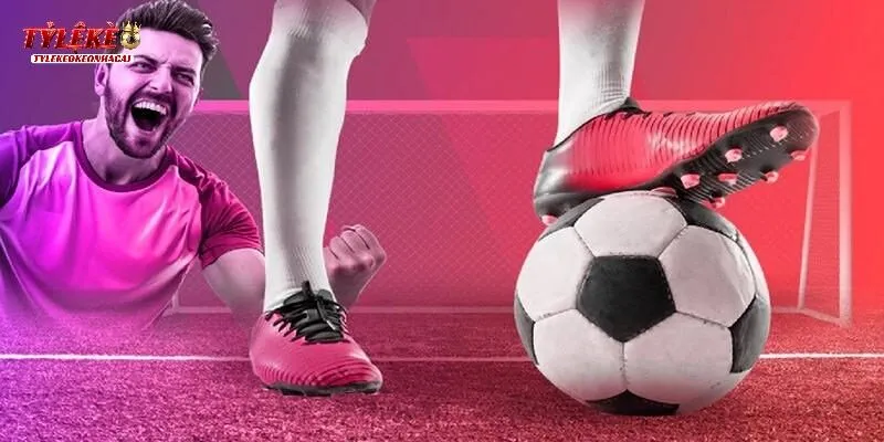 Giải mã cách đọc kèo Tài Xỉu 2-2.5