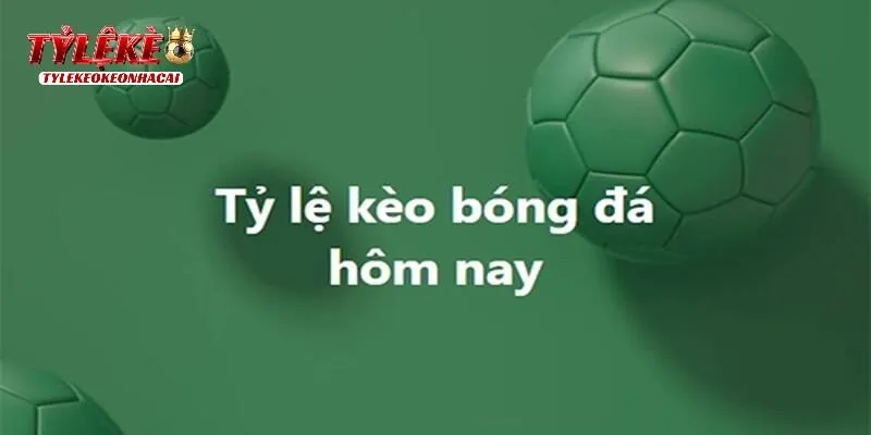 Kèo 2.5 3 Là Gì? Chia Sẻ Kinh Nghiệm Đánh Kèo Hiệu Quả